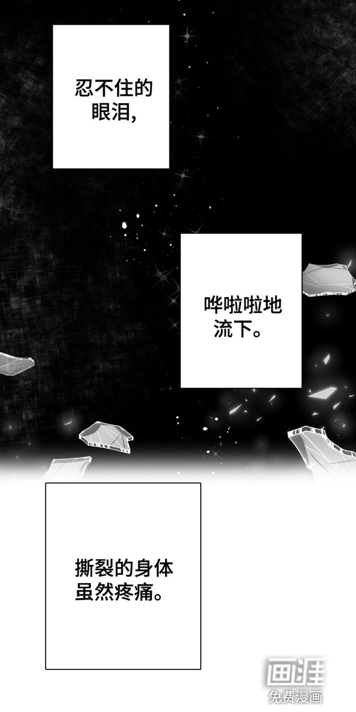 第27章：一直喜欢你