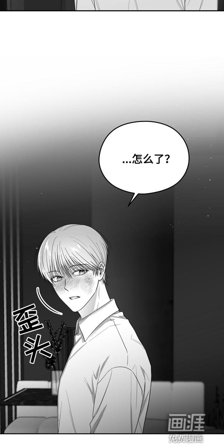 第32章：照片
