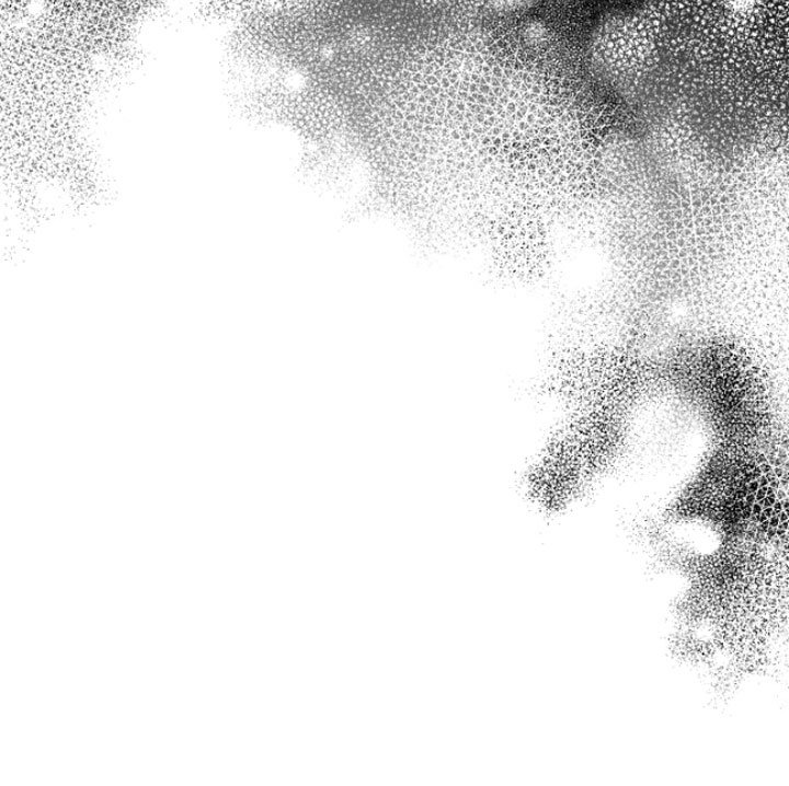 第4章：疯子