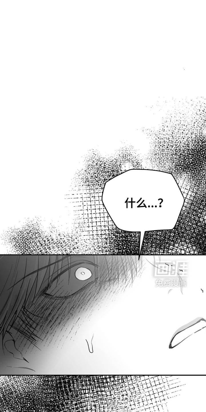 第66章：【第三季】确认结束了