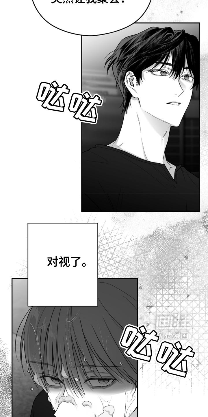 第73章：【第三季】没看到