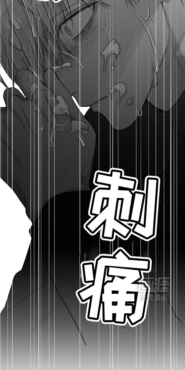 第73章：【第三季】没看到