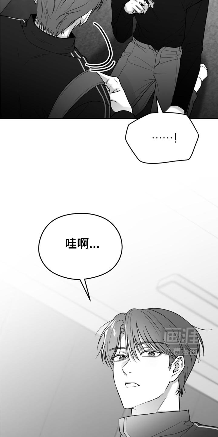 第73章：【第三季】没看到