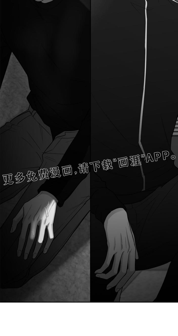 第73章：【第三季】没看到