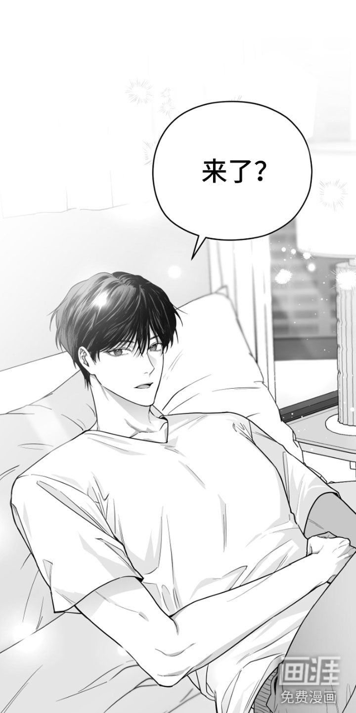 第8章：怀疑