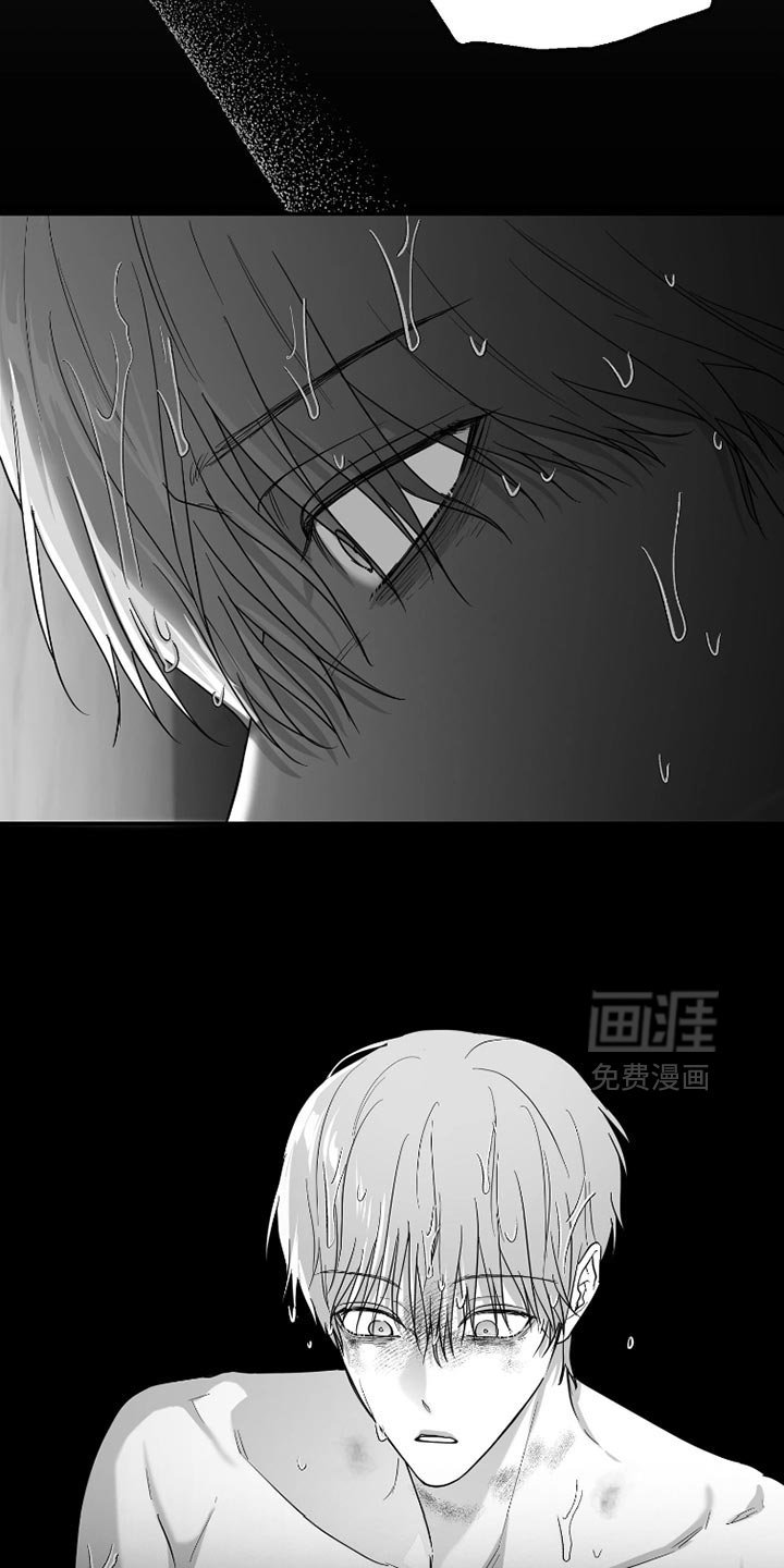 第80章：【第三季】早知道不说了