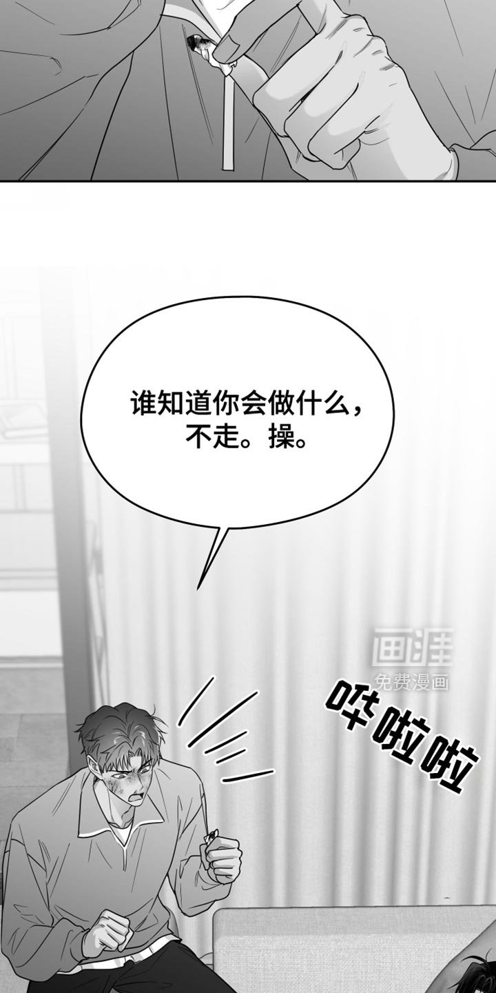 第97章：【第三季】其他想法