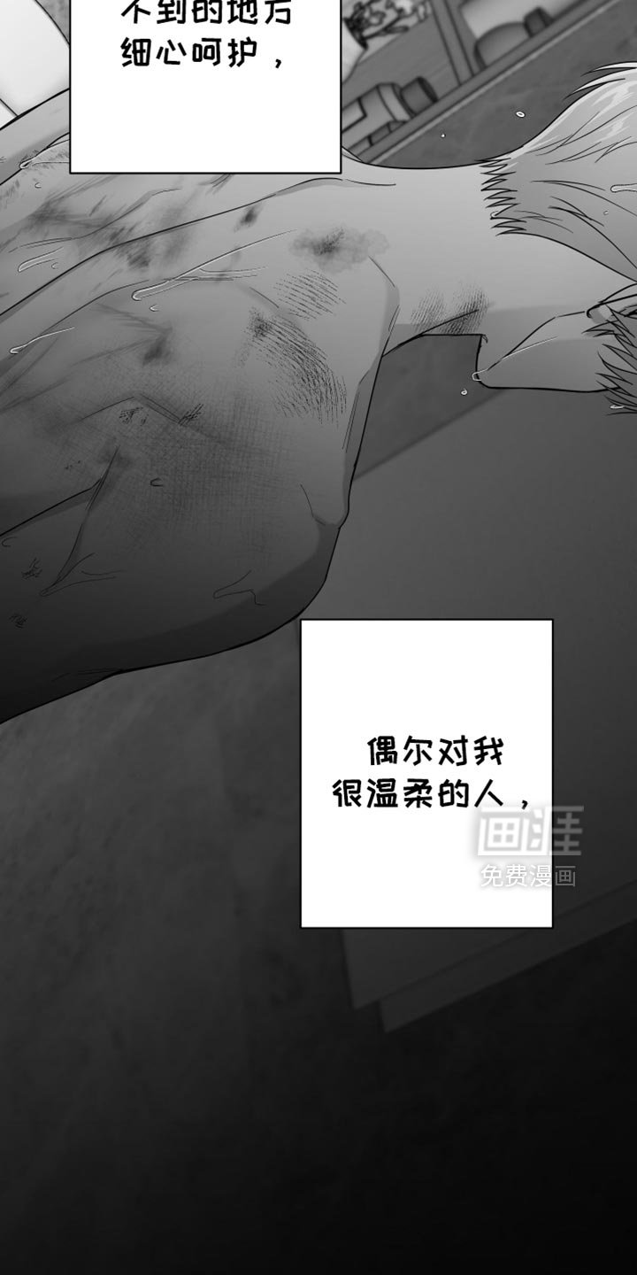 第97章：【第三季】其他想法