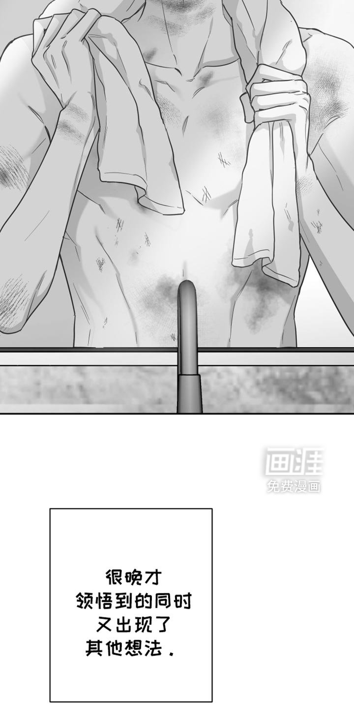 第97章：【第三季】其他想法