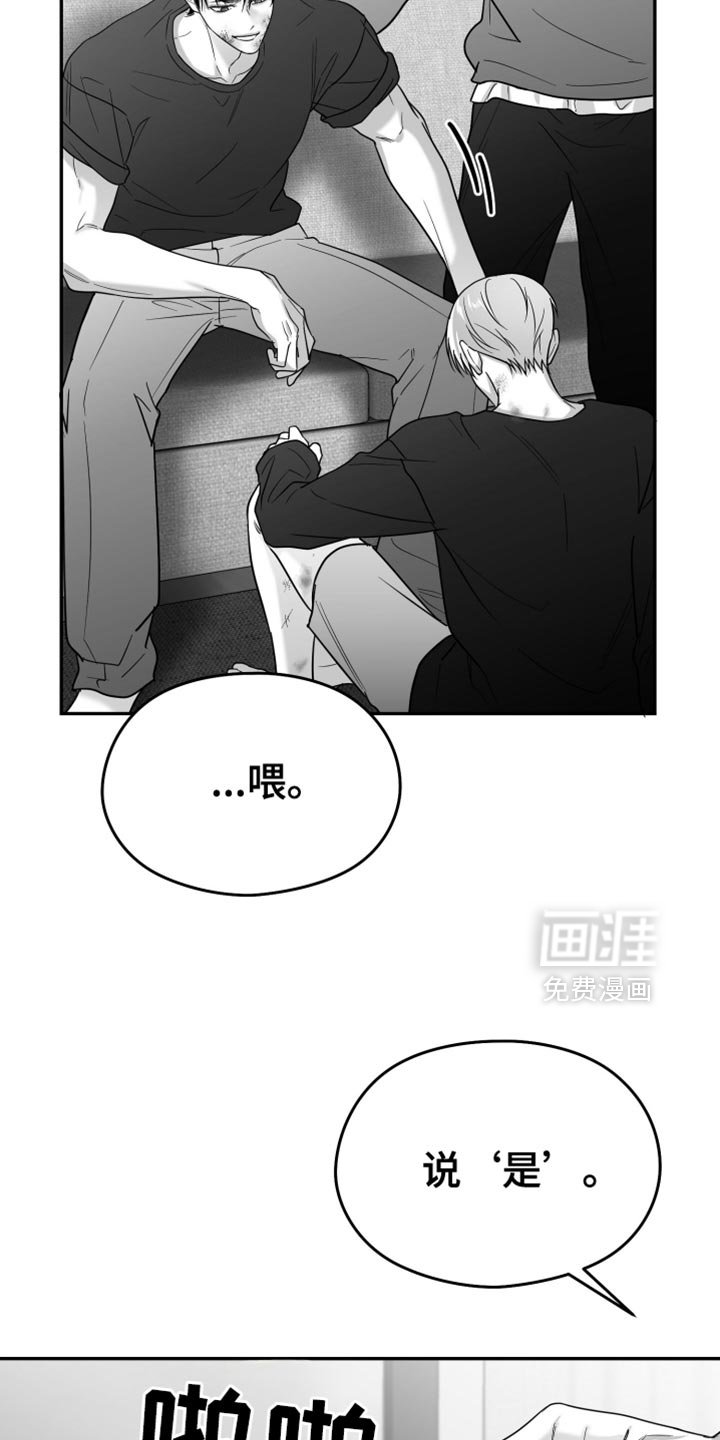 第98章：【第三季】我赌他不会来