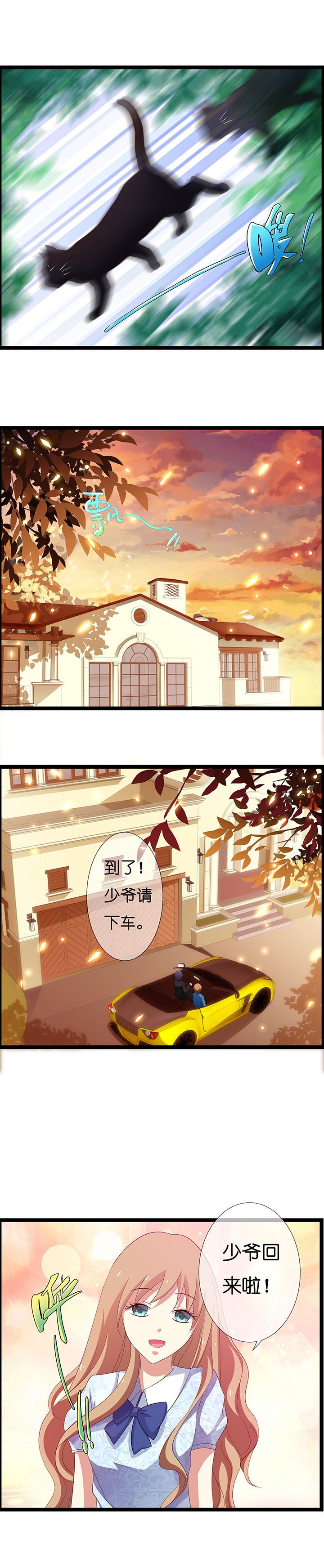 第12章：
