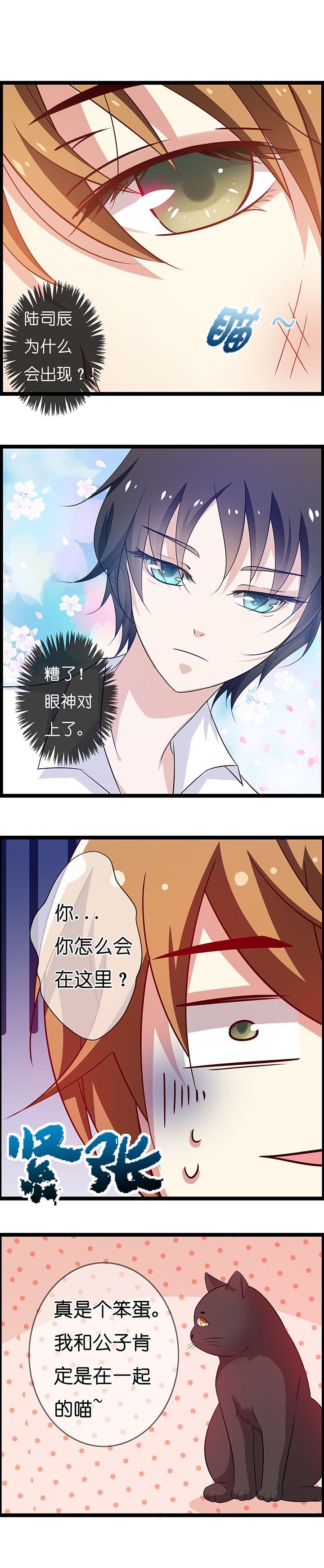 第17章：