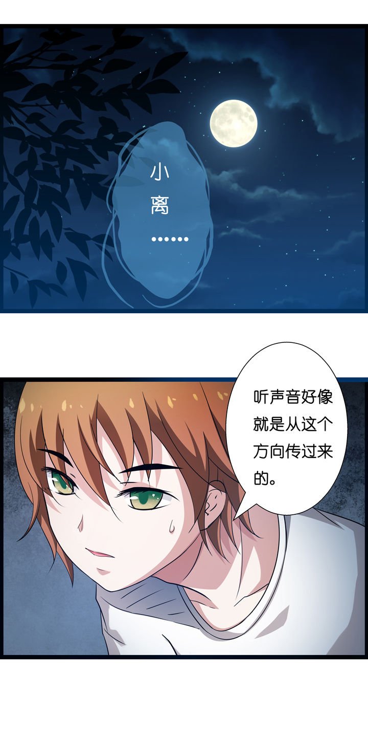 第3章：