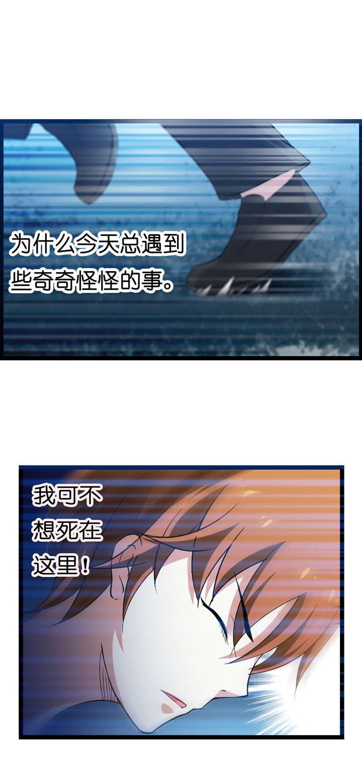 第4章：