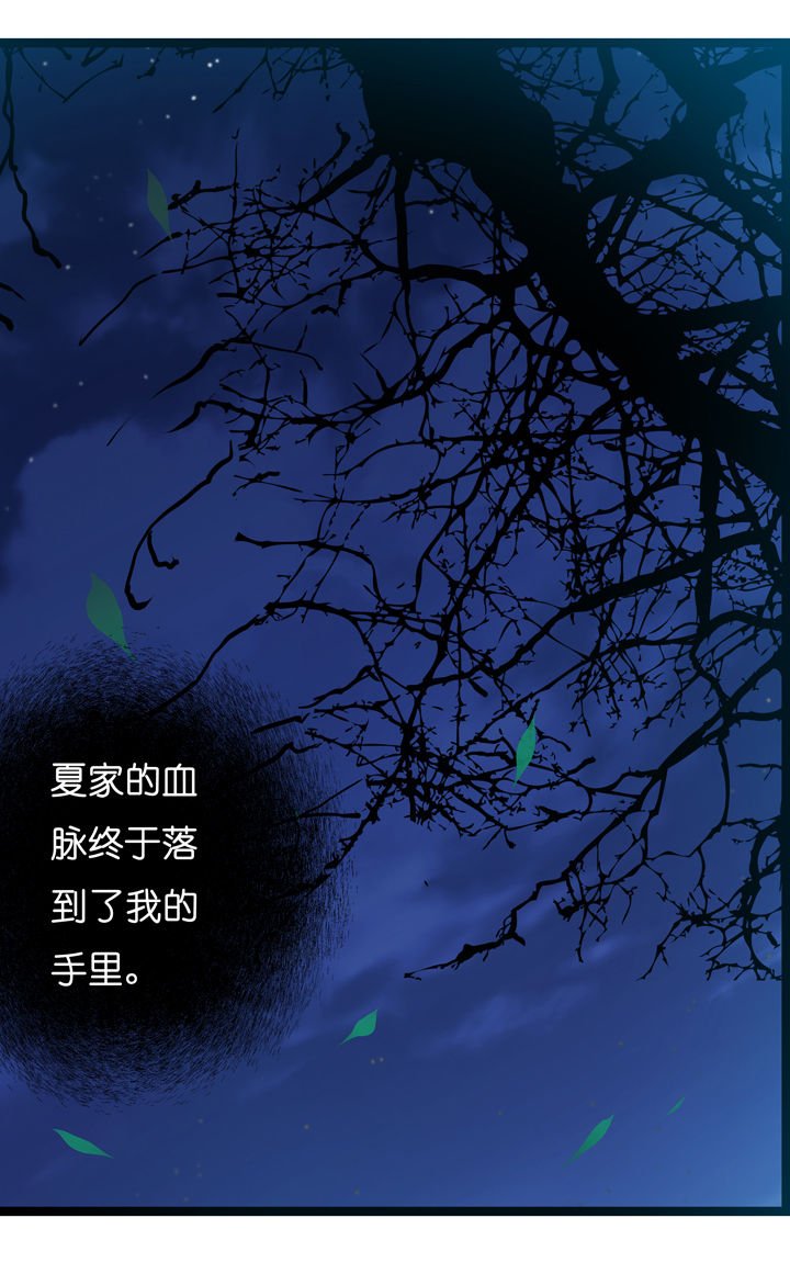 第4章：