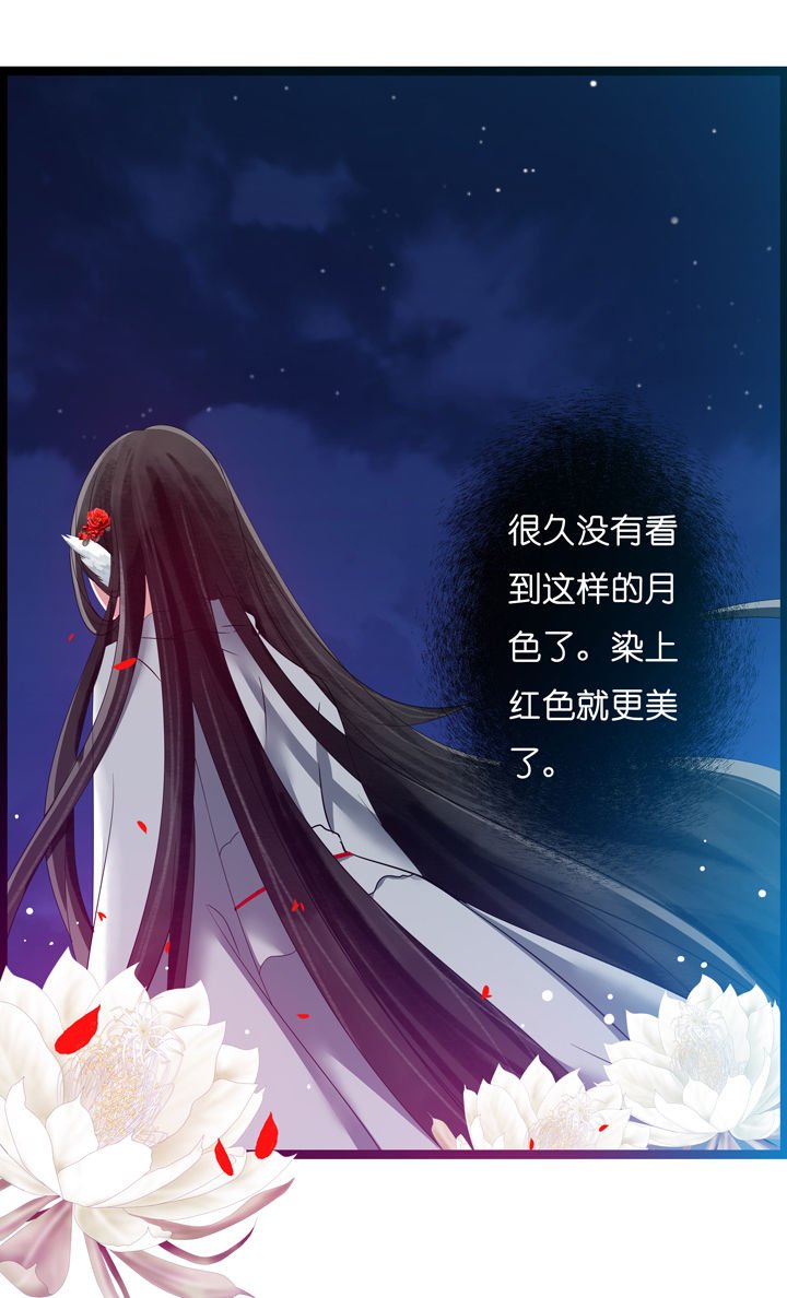 第4章：