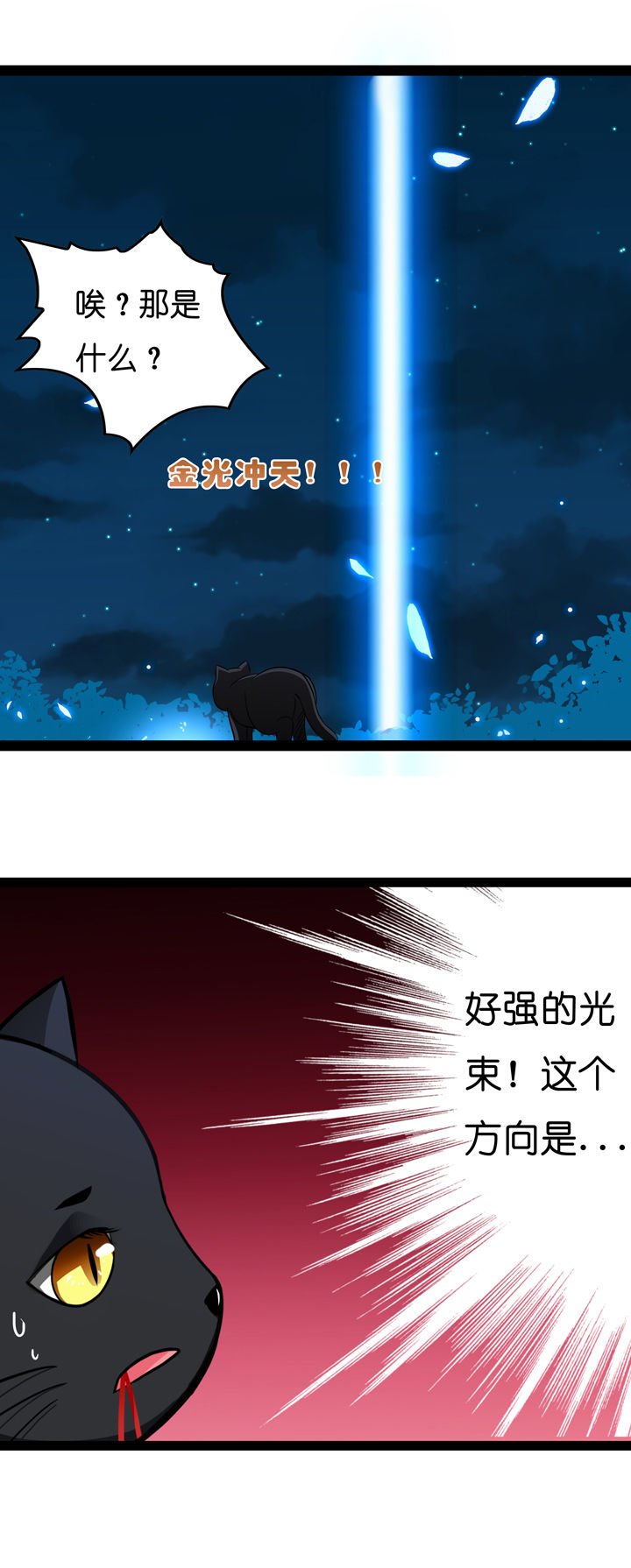 第6章：