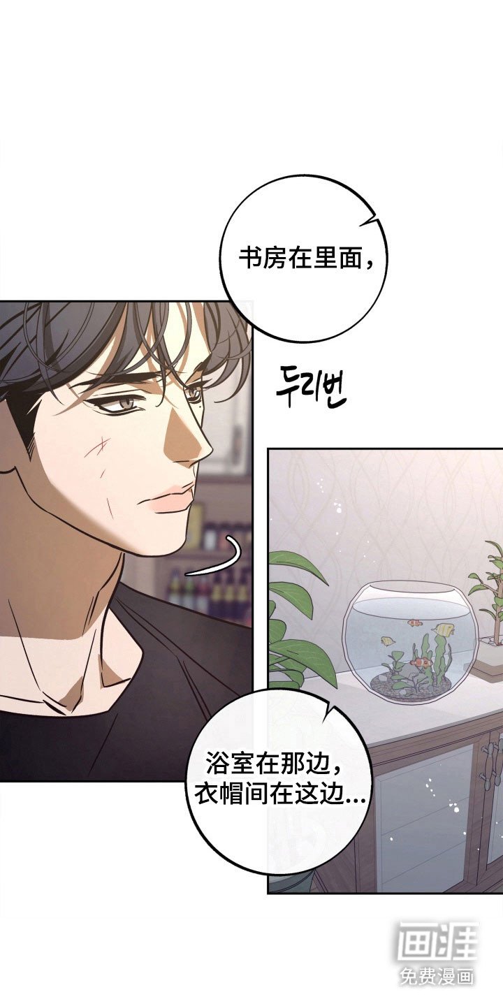 第104章：【第二季】发出提问
