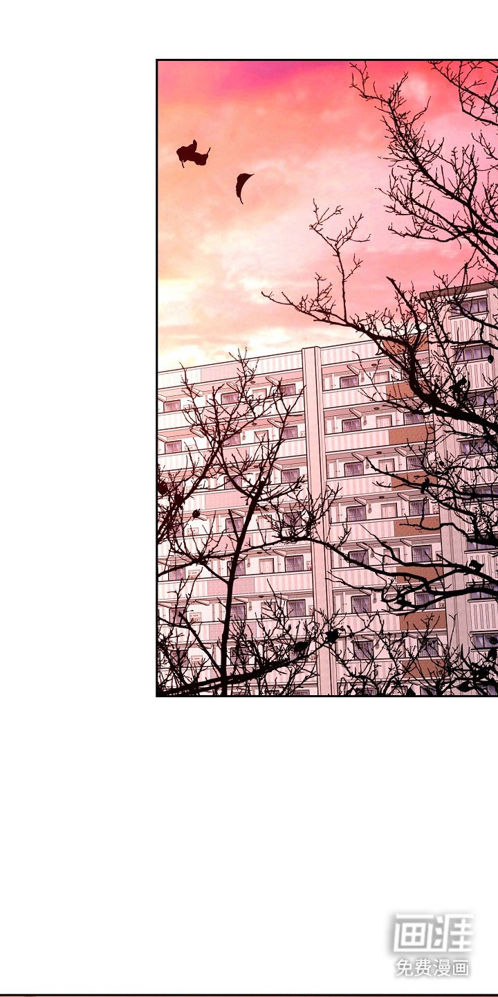 第111章：【第二季】试着生活