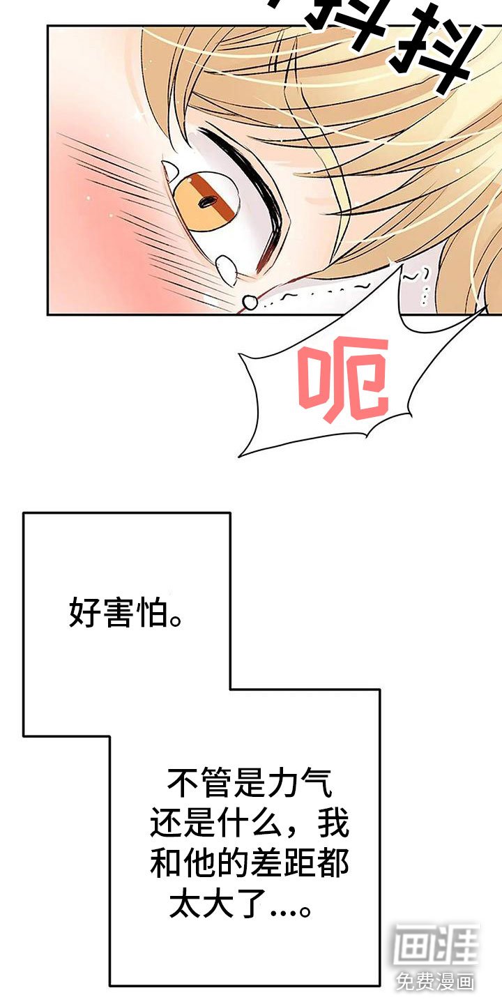 第15章：惩罚