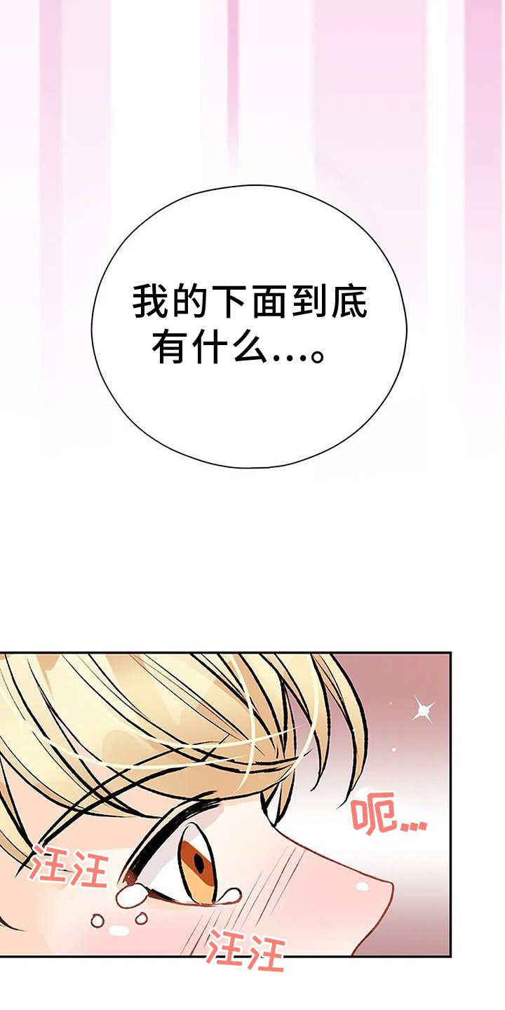 第19章：想象