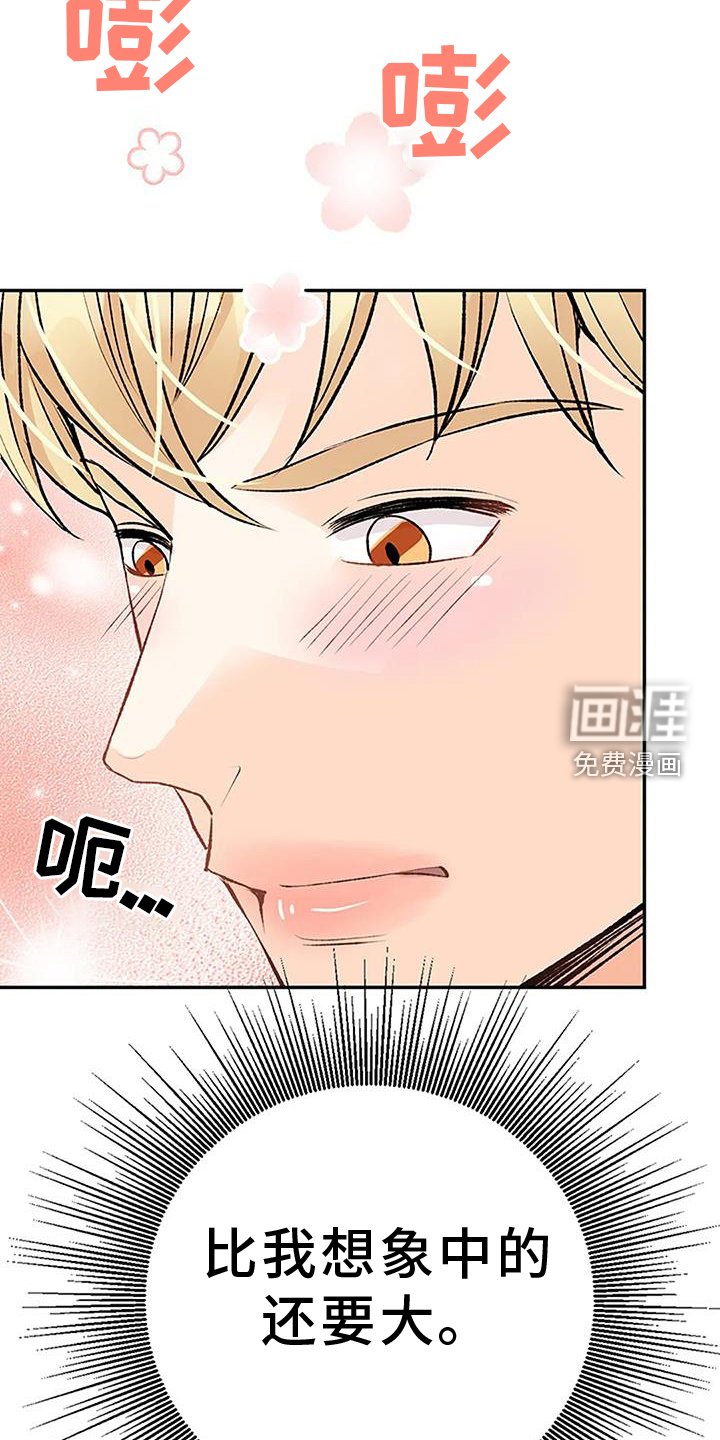 第19章：想象