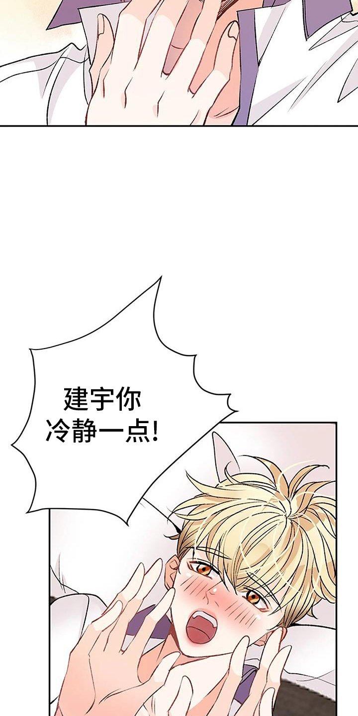 第28章：做梦