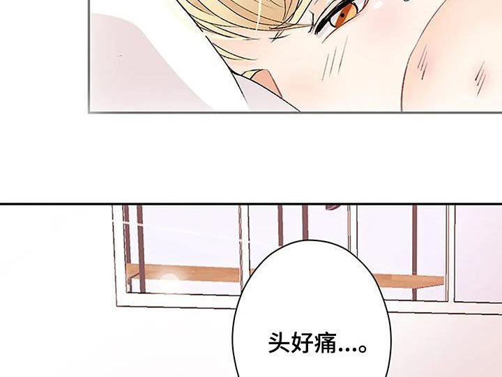 第29章：对不起