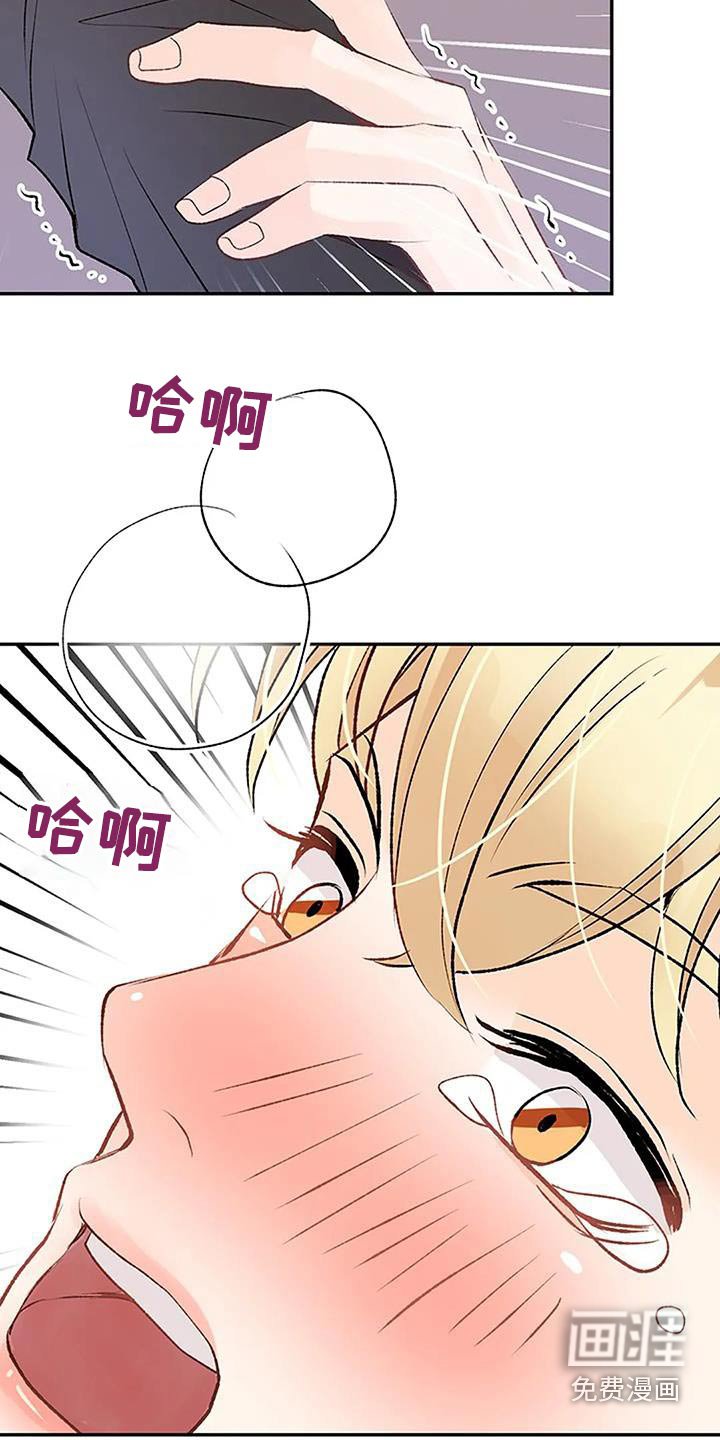 第34章：成功