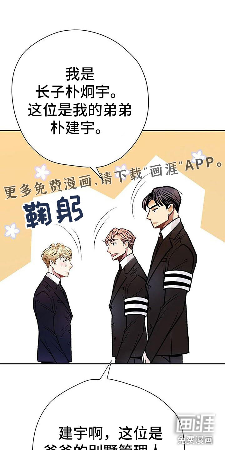 第4章：遗产分割