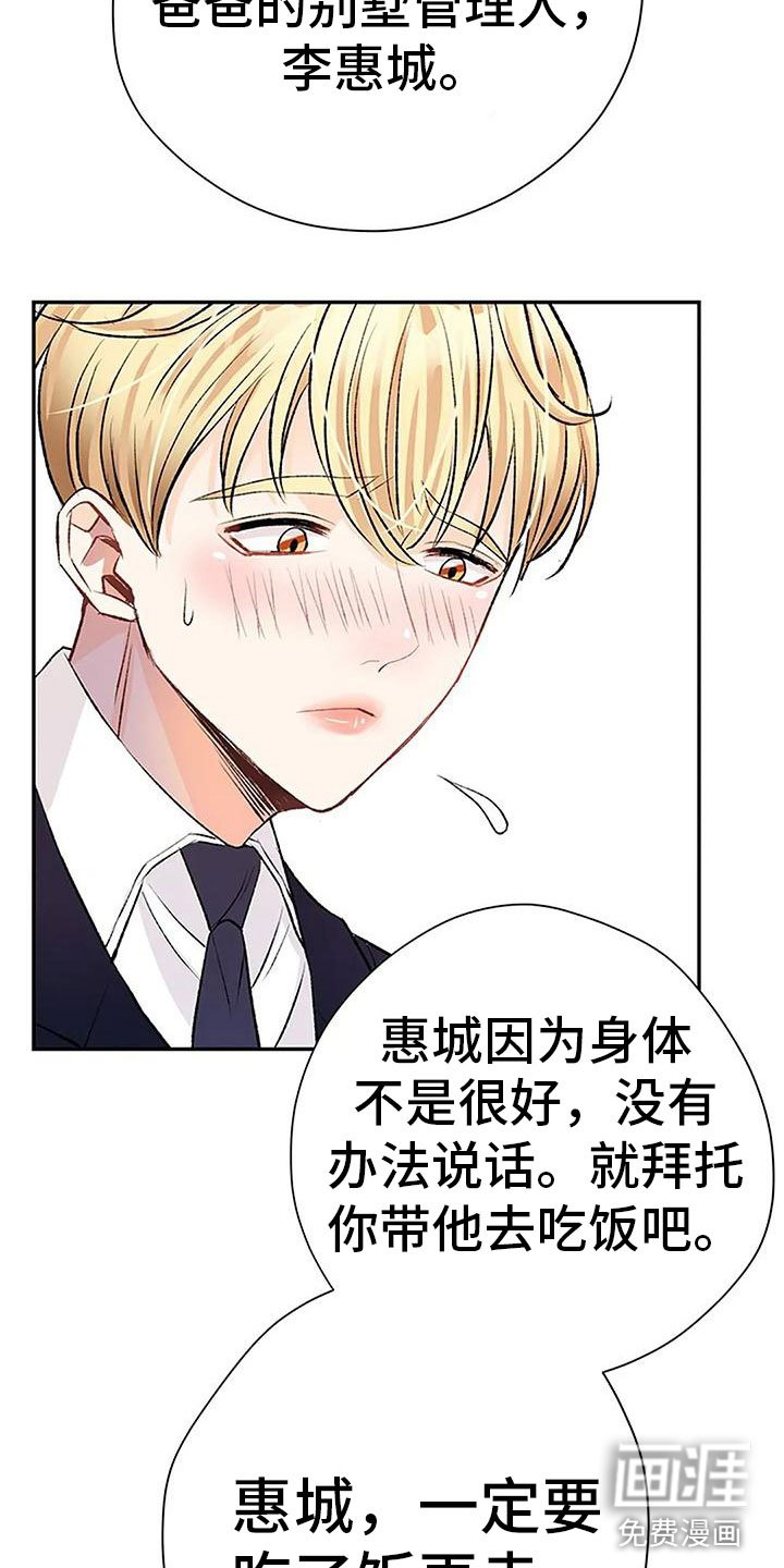 第4章：遗产分割