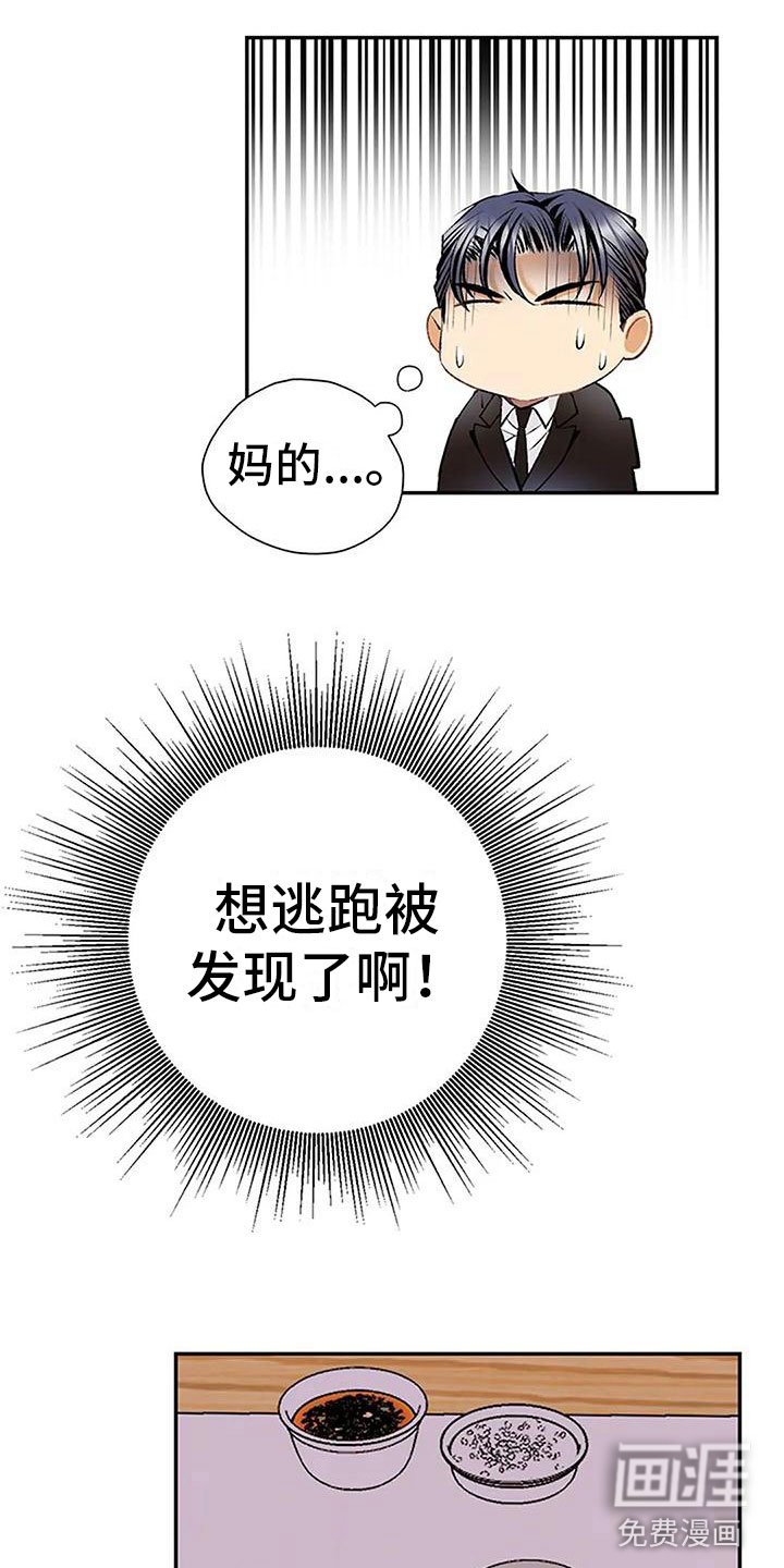 第4章：遗产分割