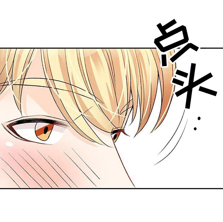 第4章：遗产分割