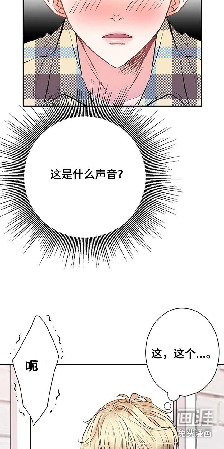 第44章：声音