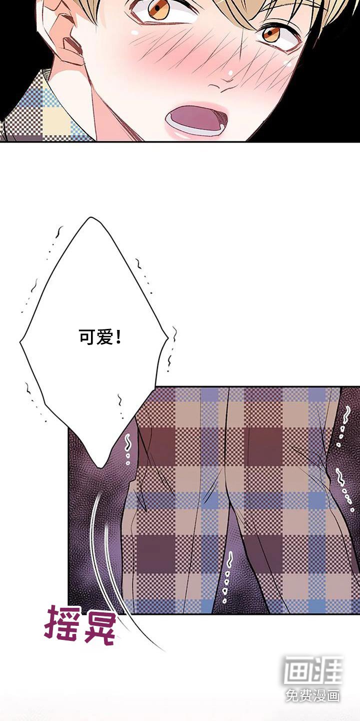 第44章：声音