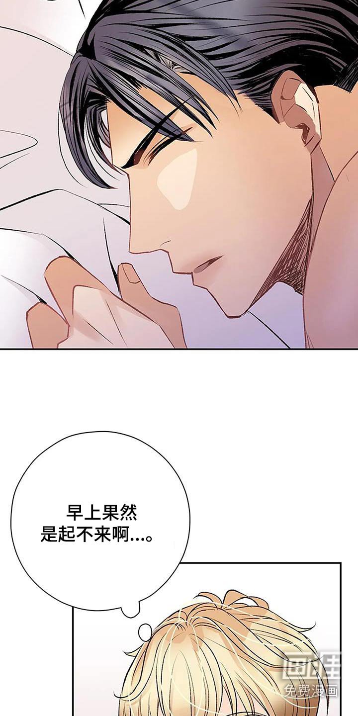 第44章：声音