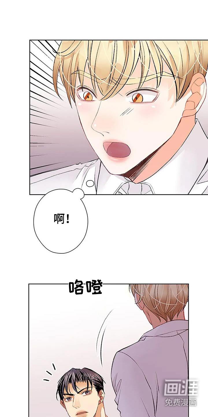 第48章：搭配