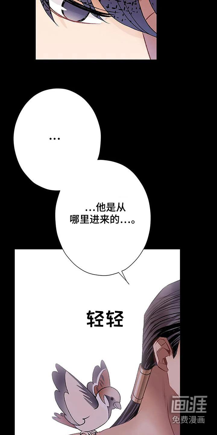 第51章：神话