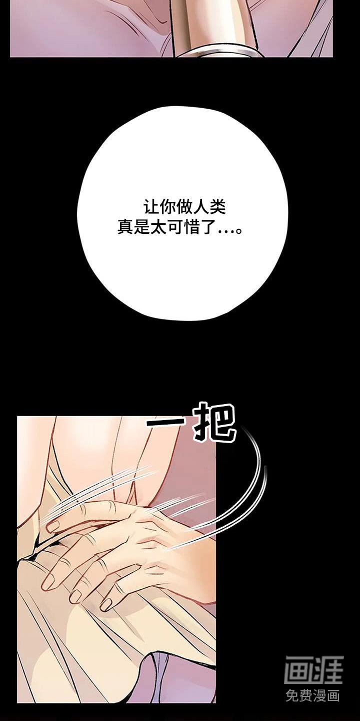 第53章：又做梦了