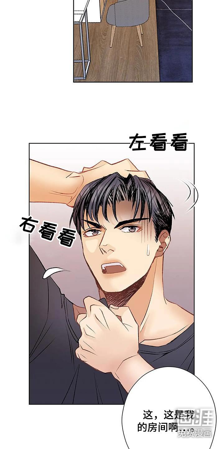 第53章：又做梦了