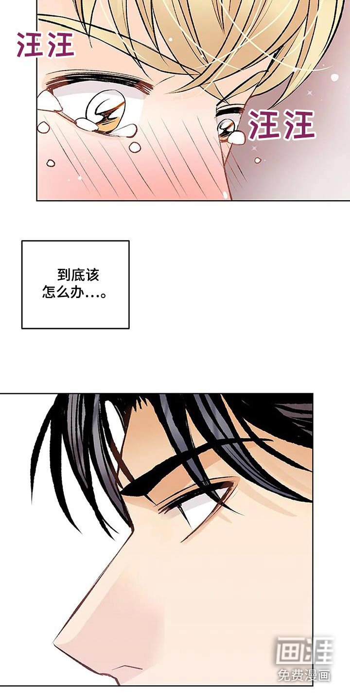 第54章：怎么回事
