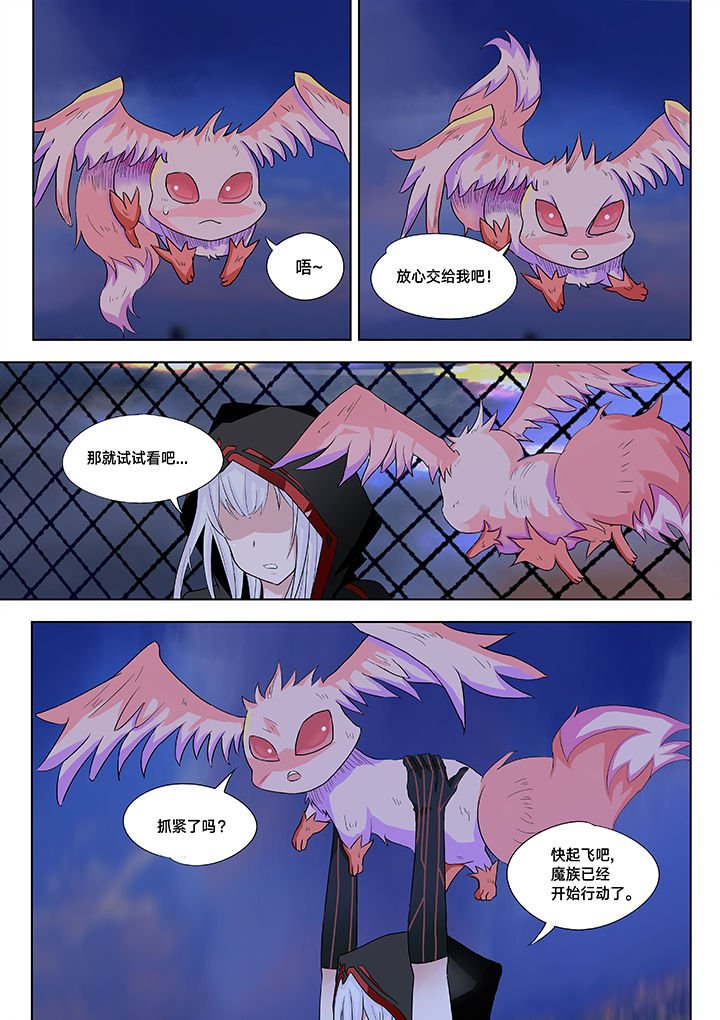 第15章：