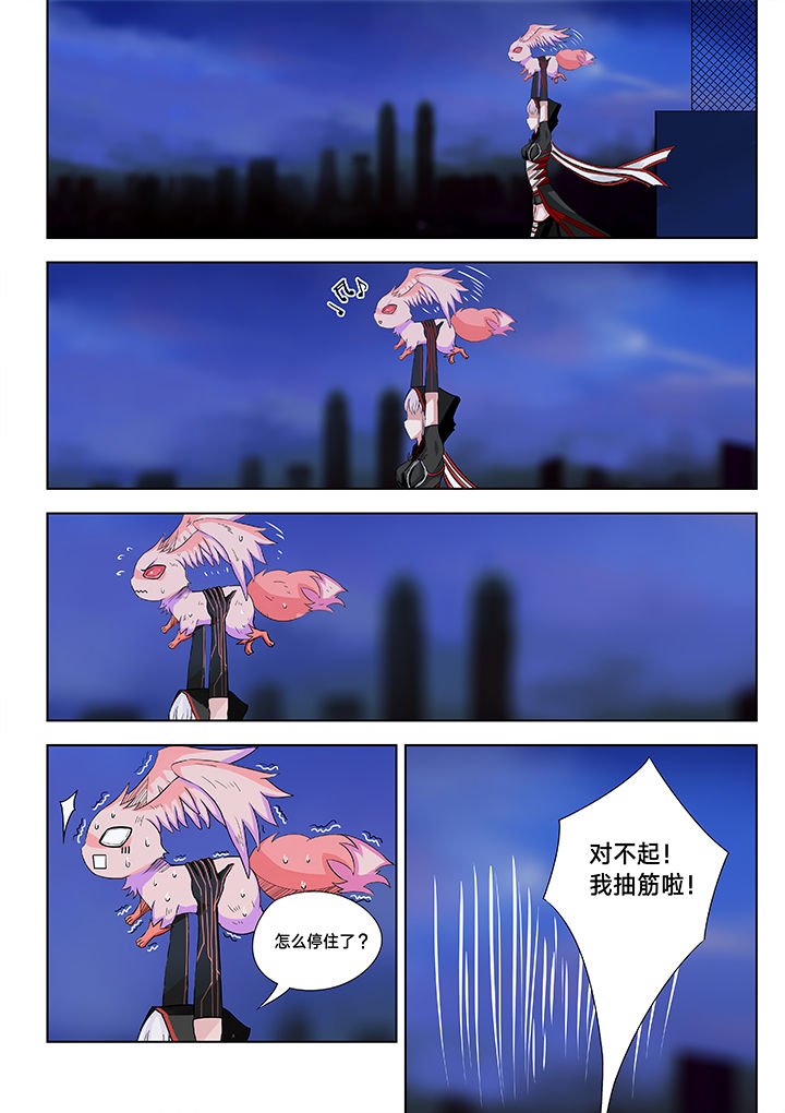 第15章：