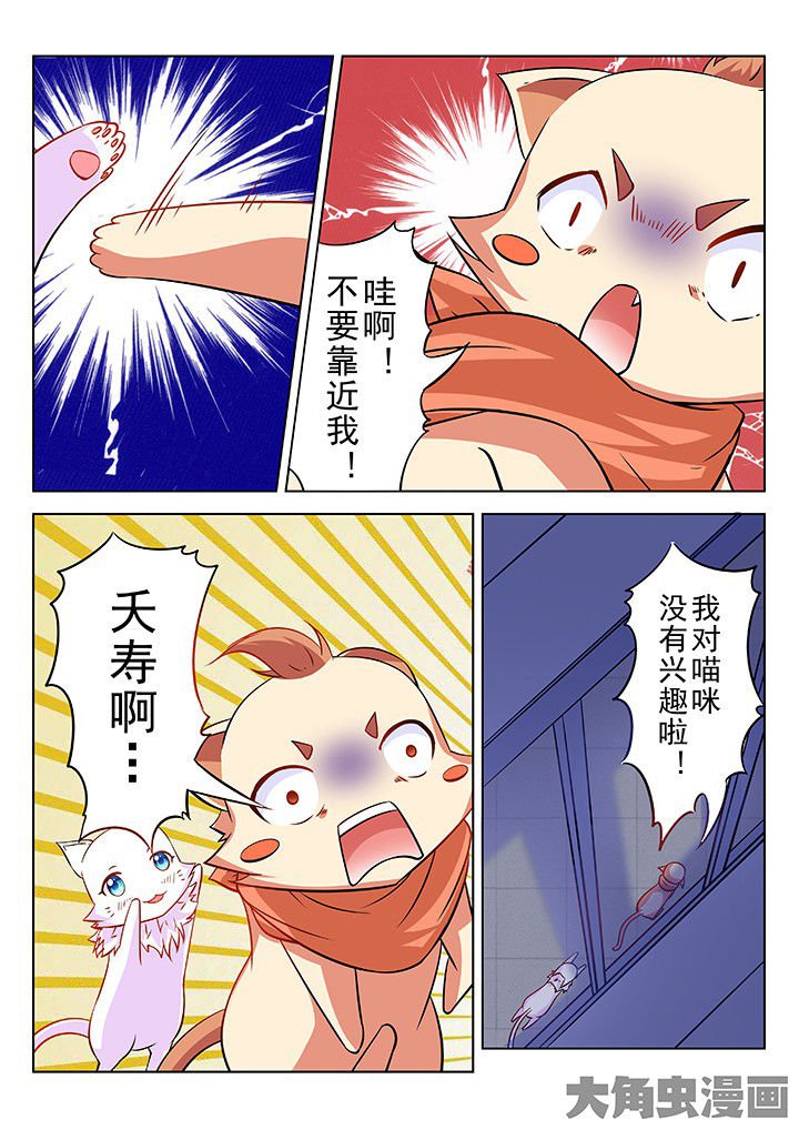 第43章：