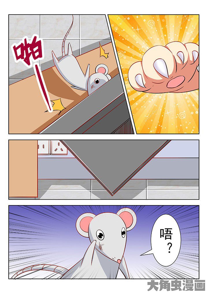 第47章：