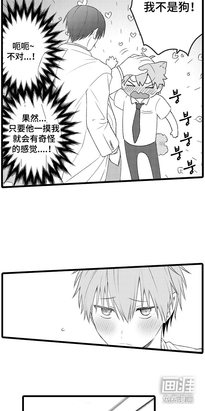 第12章：好奇