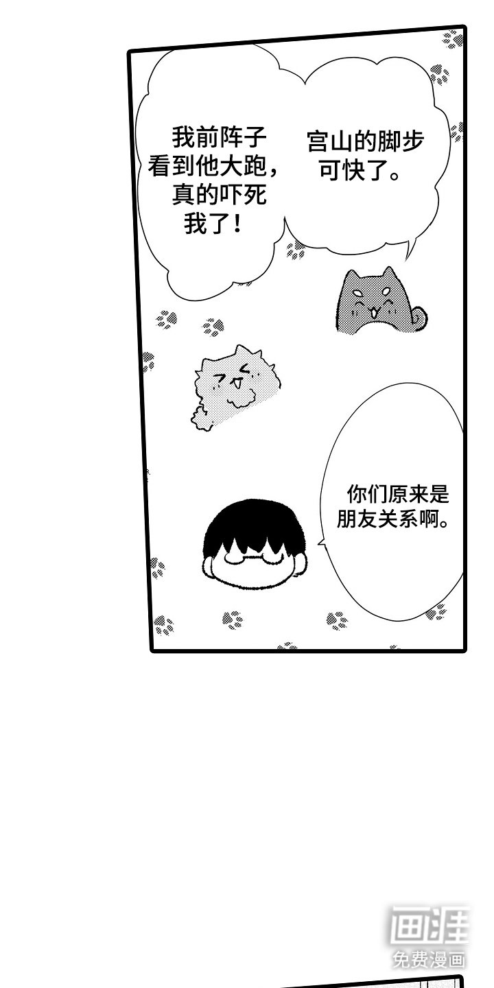 第17章：担心太多