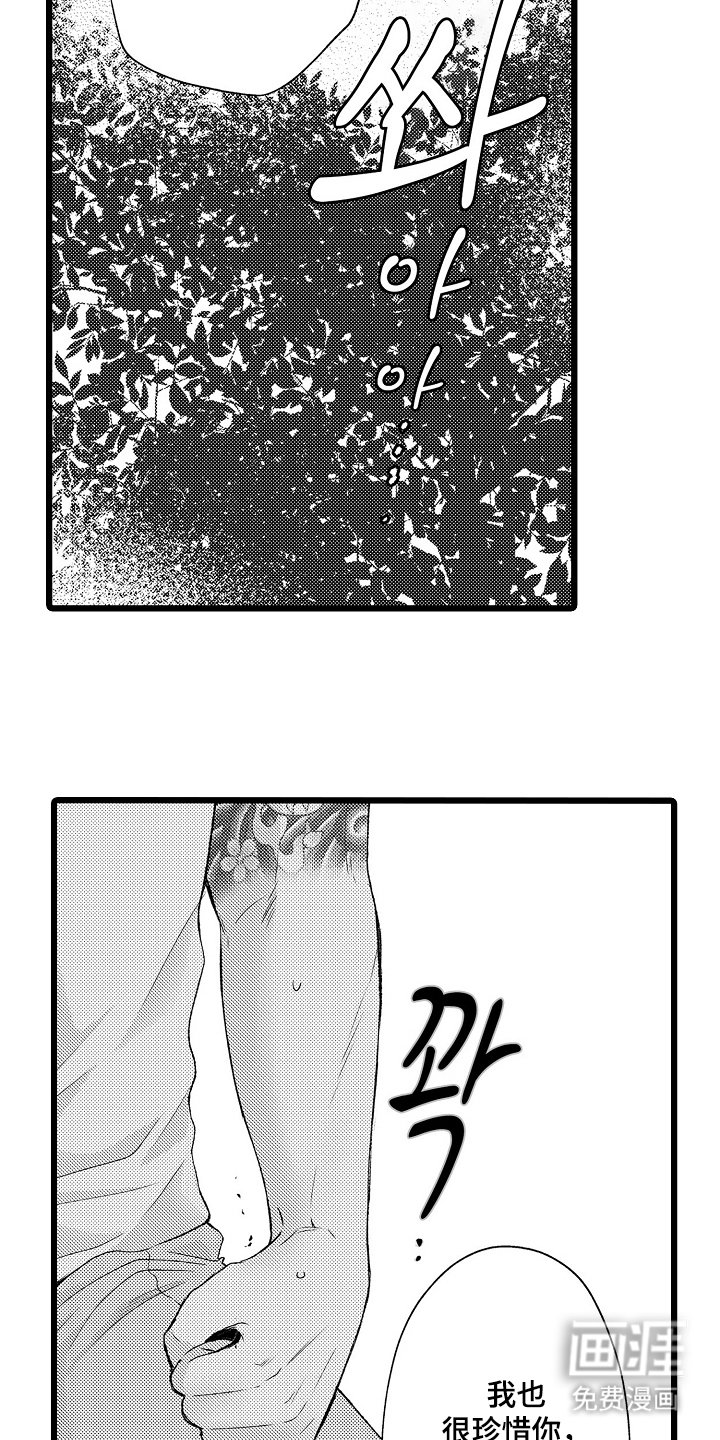 第25章：抱歉