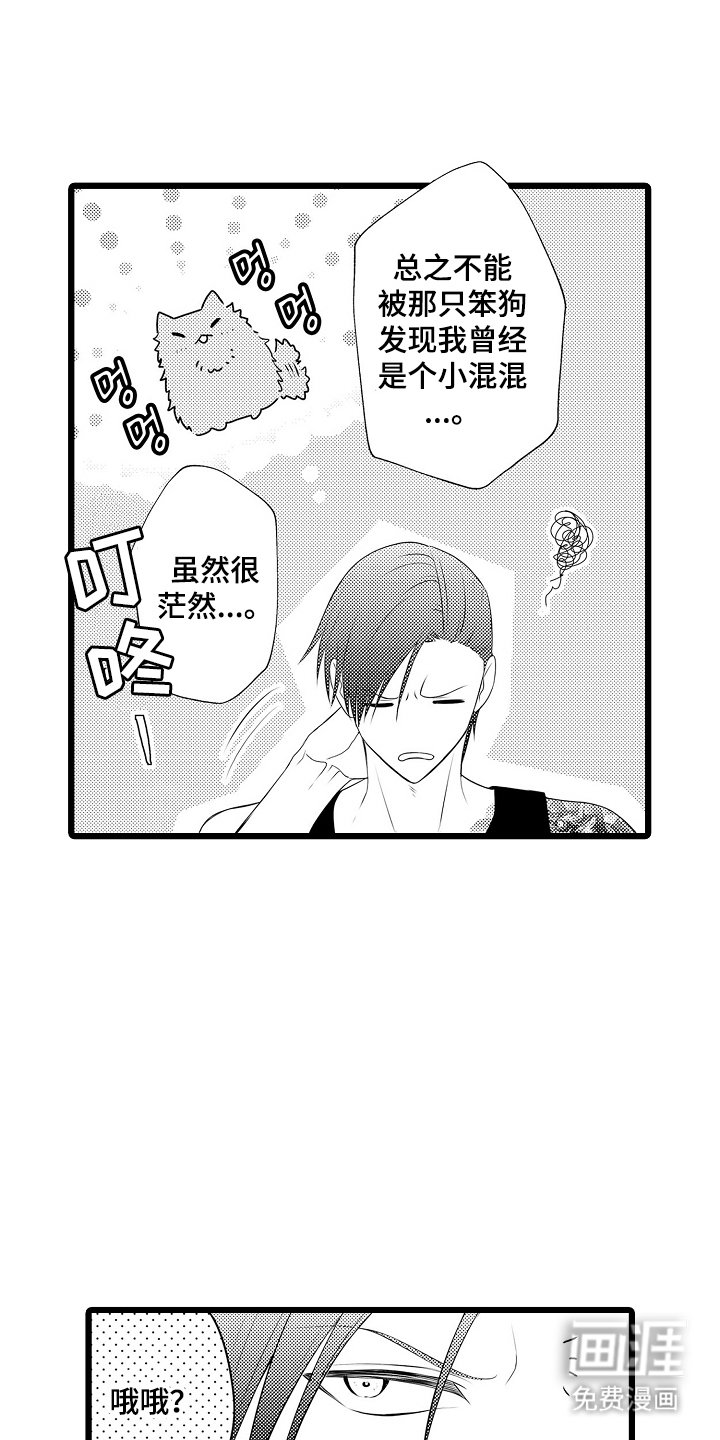 第5章：邻居