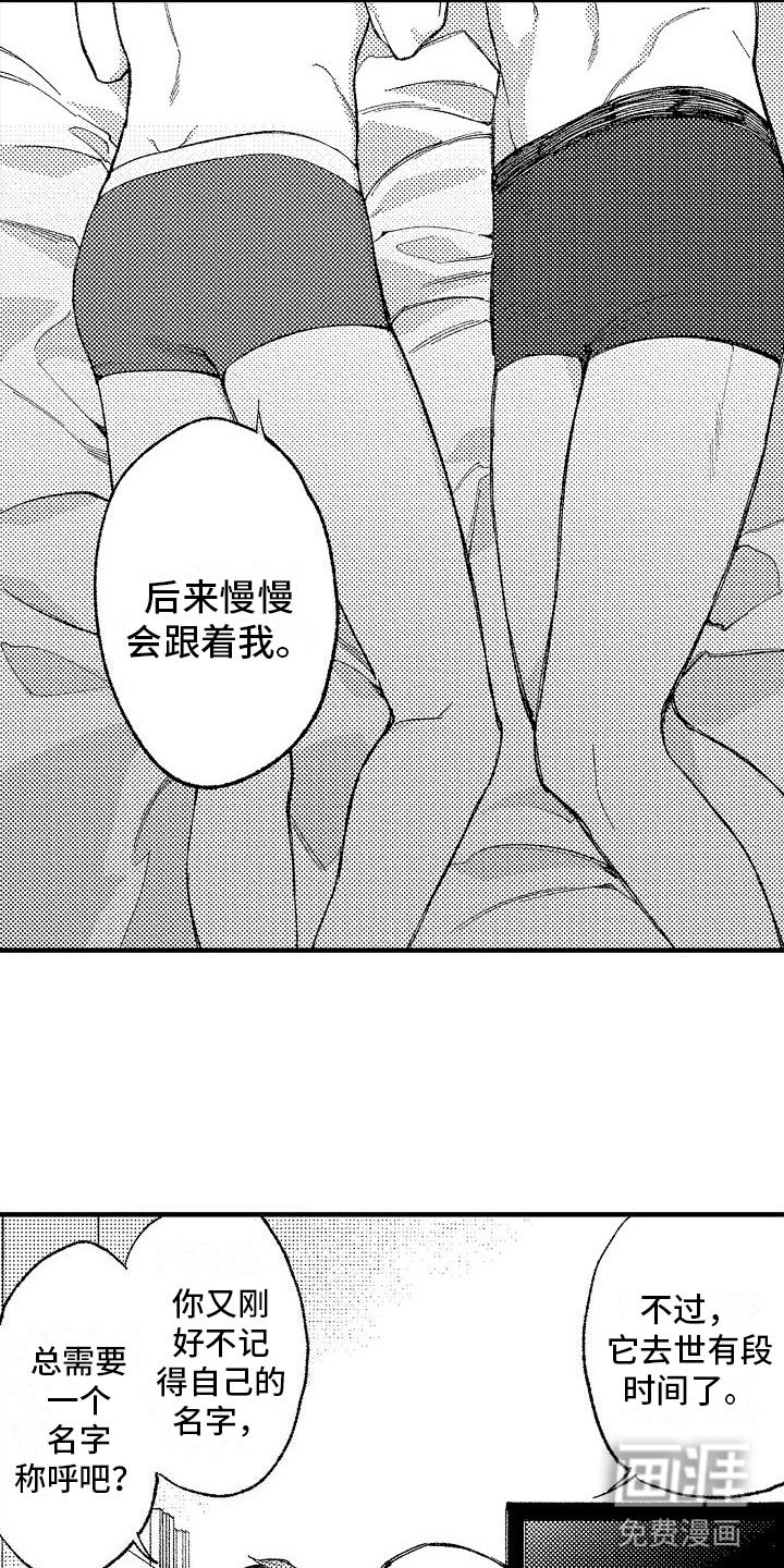 第14章：好名字